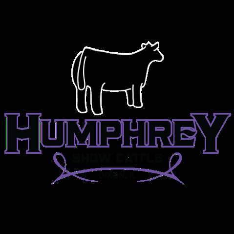 Humphrey Show Cattle